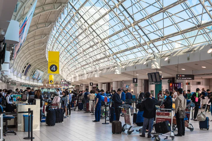 آوردن سبزی قورمه از ایران و بار کردنش در کانادا